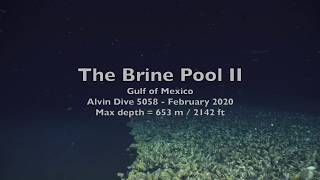 Brine Pool II  5058 [upl. by Antipas4]