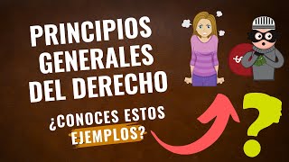 Principios Generales del Derecho ¿conoces estos EJEMPLOS [upl. by Thorma]