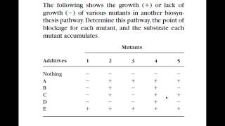 Biochem Pathway Analysis part 1 [upl. by Ogaitnas]