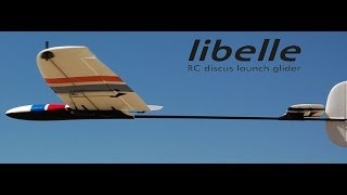 DreamFlight Libelle DLG Review  RCGroupscom [upl. by Oby]