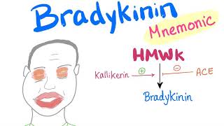 Bradykinin  with a Mnemonic [upl. by Lili]