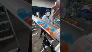 Twin Marble Run Course ☆ Billiard Ball ASMR2 [upl. by Aniat]