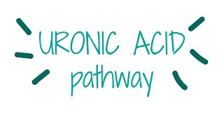 Uronic acid pathway  Biochemistry [upl. by Forland]