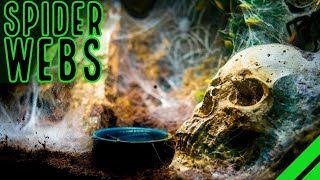 TOP 10 Heaviest Webbing Tarantulas BIG Spiders BIGGER Webs [upl. by Seaden]