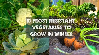 10 Frost Resistant Vegetables to Grow in Winter [upl. by Yellac14]