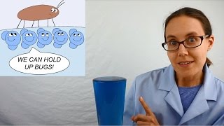 Science Moms Guide to Water Part 2  Surface Tension [upl. by Harbot524]