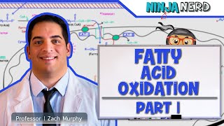 Metabolism  Fatty Acid Oxidation Part 1 [upl. by Darelle]