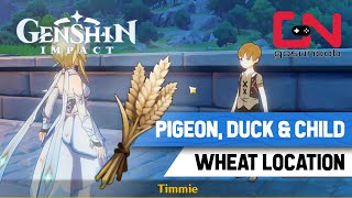 Genshin Impact Wheat Location  Pigeon Duck amp Child Quest Walkthrough [upl. by Ahtnahc]