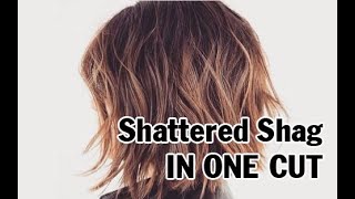 Quick Haircut How to do a quotShattered Shag Haircutquot in One Cut [upl. by Jesher39]