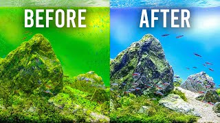 HOW TO Choose the Best Filter to Keep Your Aquarium Clean [upl. by Amsirahc505]