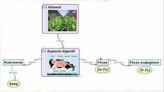 Cours agronomie 2  Alimentation animale [upl. by Hanako69]