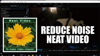 Download dan Install Reduce Noise Neat Video Full [upl. by Philander777]