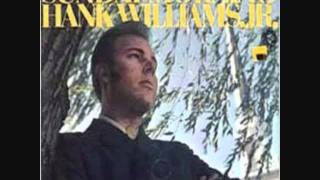 Hank Williams Jr  I Saw The Light [upl. by Atnima]