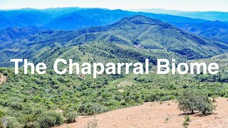 The Chaparral Biome [upl. by Alisander]