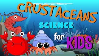 What are Crustaceans  Science for Kids [upl. by Eelytsirk]