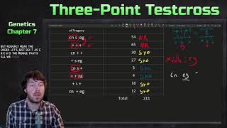 ThreePoint Testcross Example  Genetics [upl. by Vladimir984]