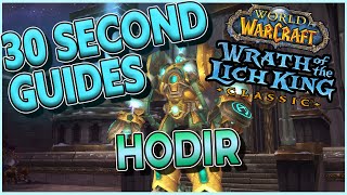 Hodir  Ulduar  30 Second Guides [upl. by Elaweda]