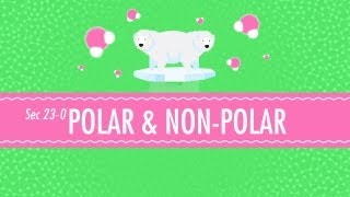 Polar amp NonPolar Molecules Crash Course Chemistry 23 [upl. by Orfurd]