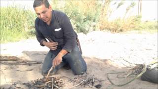 Desert Survival Food Cattails Typha latifolia [upl. by Cirenoj]