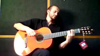 ALHAMBRA 4F  Flamenco Gitarre [upl. by Meirrak]