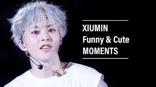 EXO Xiumin Funny amp Cute Moments [upl. by Valenta]