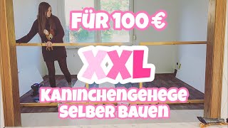 Für 100€ XXL Kaninchengehege selber bauen [upl. by Esinnej276]