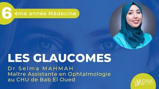 LES GLAUCOMES  Dr Selma MAHMAH [upl. by Kasper46]