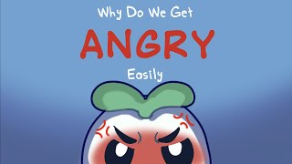 Why Do You Get Angry Easily [upl. by Merill556]