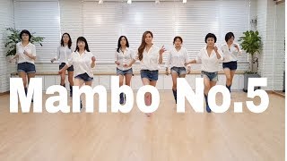 Mambo No5 Line Dance Beginner 윤 은희 [upl. by Mari]