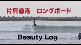 片貝漁港のいい波でロングボード【Beauty Log】 [upl. by Eireva]