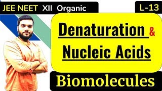 L13 Denaturation  Nucleic Acids  Biomolecules  NEET JEE  By Arvind Arora [upl. by Av583]