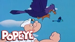 Classic Popeye Episode 26 Love Birds AND MORE [upl. by Meri]