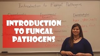 Introduction to Fungal Pathogens [upl. by Aisset678]