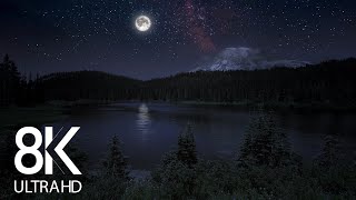 10 HRS of Nighttime Nature Soundscapes Lake Waves Cicadas Crickets  8K Enchanting Night [upl. by Ennairol]