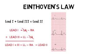 EINTHOVENS LAW [upl. by Atinuahs]