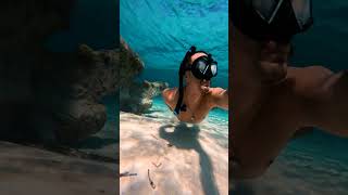 Snorkeling in Sardinia Italy italy sardinia snorkeling underwater ￼ [upl. by Mccourt]