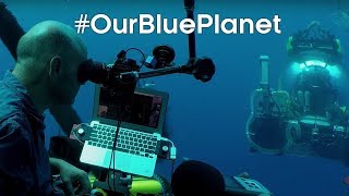 Discovering underwater lake ecosystems for Blue Planet II OurBluePlanet  BBC Earth [upl. by Leeanne948]