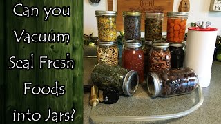 Can You Vacuum Seal Fresh Foods into Jars [upl. by Akilegna]