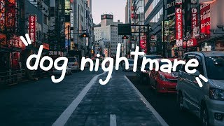 jack stauber ─ dog nightmare lyrics [upl. by Kirschner]