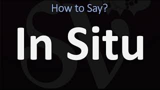 How to Pronounce In Situ CORRECTLY [upl. by Ennadroj836]