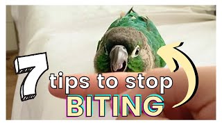 7 TIPS ON HOW TO STOP YOUR BIRD FROM BITING  Why Your Bird Bites You and How to Avoid Getting Bit [upl. by Eirellav442]