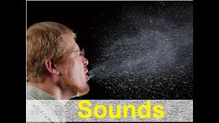 Sneeze Male Sound Effects All Sounds [upl. by Tigdirb]