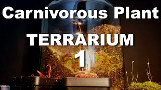 Growing Carnivorous Plants E1 Building a Terrarium [upl. by Wyne595]