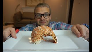 How NOT to boil lobster tails [upl. by Greenwood]