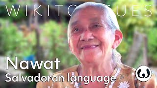 The Nahuat language casually spoken  Nantzin speaking Nawat  Wikitongues [upl. by Jakob]