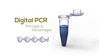 Digital PCR Principle amp Advantages [upl. by Nnaira]