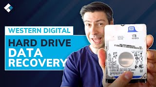 How to Recover Data From Western Digital External Hard Drive  WD External Hard Drive Recovery [upl. by Almeria912]