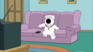 Family Guy  Brian barking [upl. by Juetta]