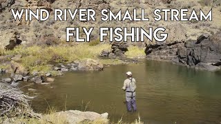 Wind River Fly Fishing  Wyoming [upl. by Kilan]