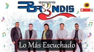 🎶 Grupo Bryndis Mix 2020  Lo Más Nuevo 2020 🎶 [upl. by Schatz]